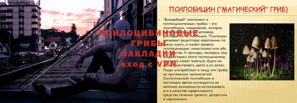 дживик Россошь