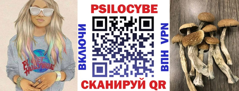 Псилоцибиновые грибы Cubensis сколько стоит Ардон