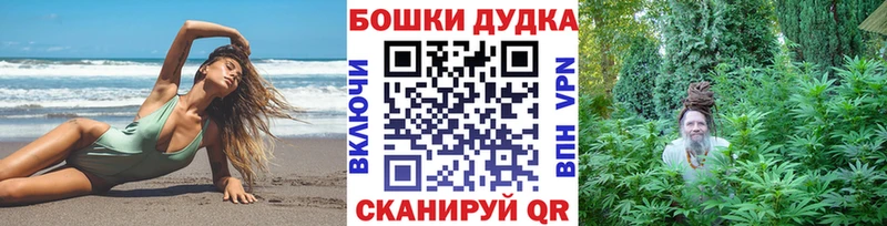 дарнет шоп Ардон Канабис план