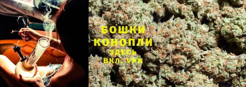 где найти   Ардон  Бошки марихуана Ganja 